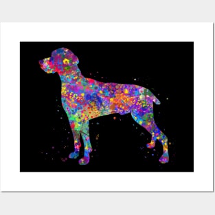 weimaraner dog watercolor Posters and Art